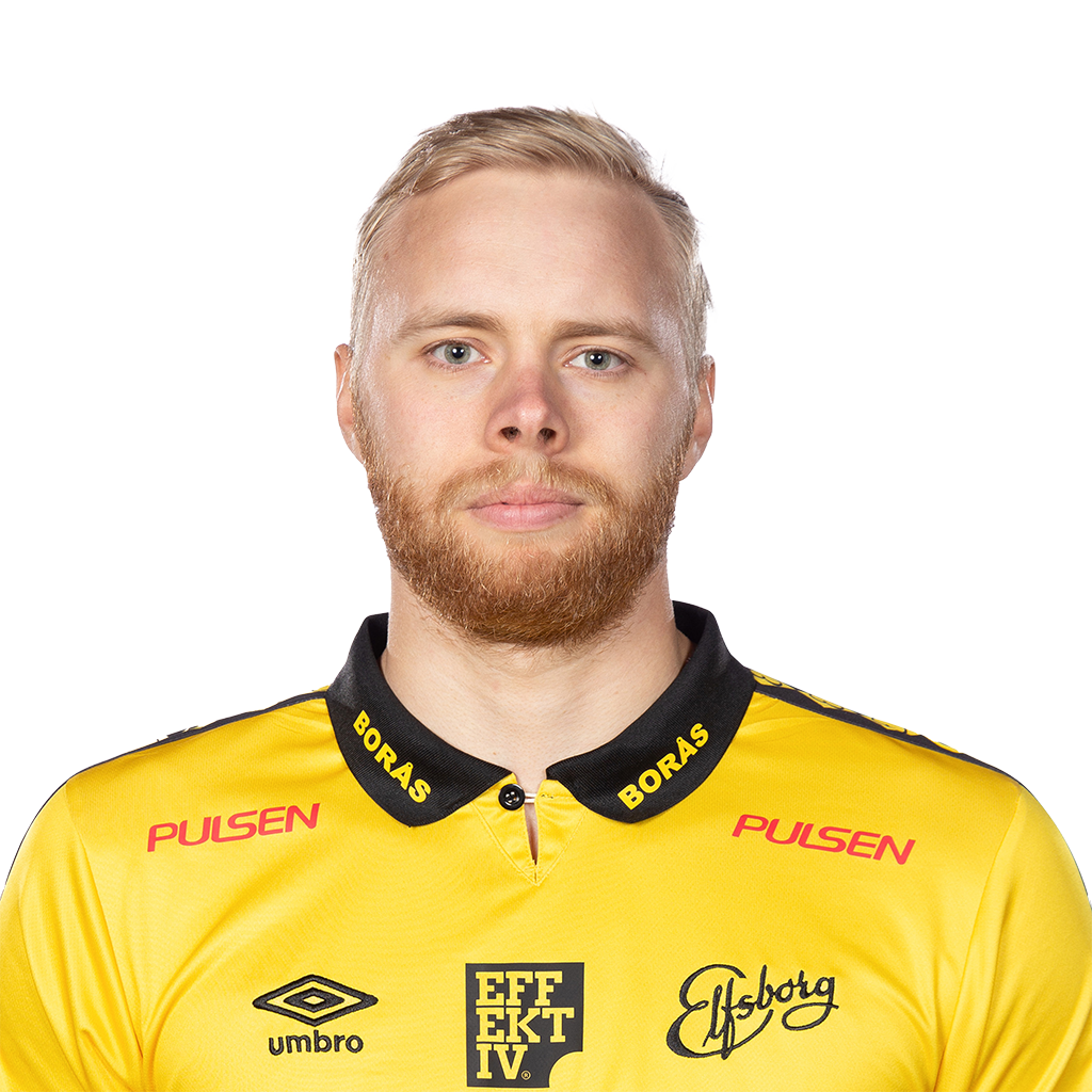 Sveinn Guðjohnsen